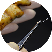 骨抜きうなぎ蒲焼